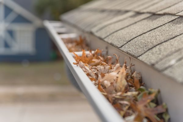 Leaf Barrier Installation in Iowa City